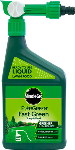 Miracle-Gro-Evergreen Fast Green