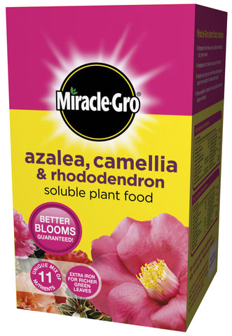 Miracle-Gro-Azalea, Camellia & Rhododendron Soluble Plant Food