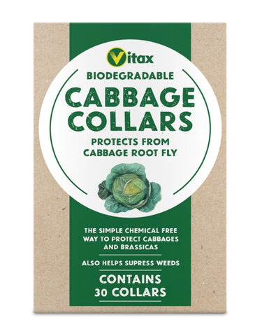 Vitax-Cabbage Collars
