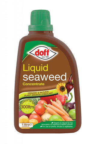 Doff-Liquid Seaweed Plant Feed