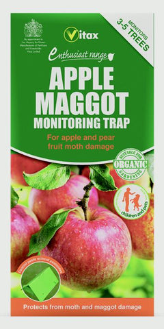 Vitax-Apple Maggot Monitoring Trap