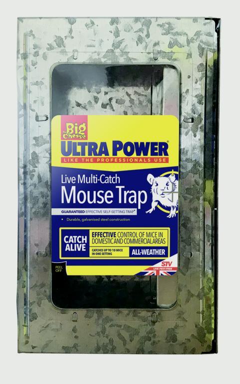 The Big Cheese-Ultra Power Live Multi Catch Mouse Trap - sidtelfers diy & timber