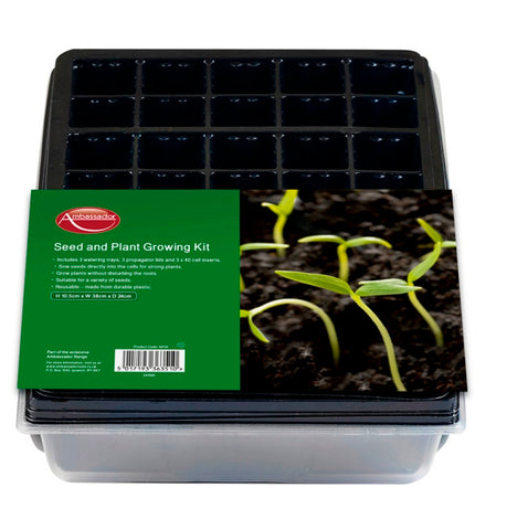 Ambassador-Seed & Plant Growing Kit
