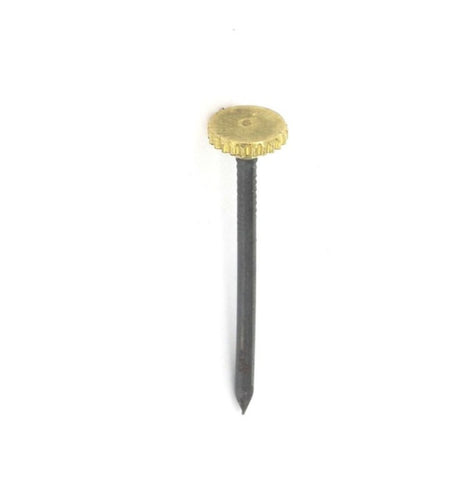 Securit-Brass Headed Picture Pins (6)
