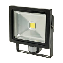 Silverline-COB LED Floodlight