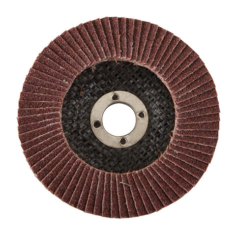 Silverline-Aluminium Oxide Flap Disc