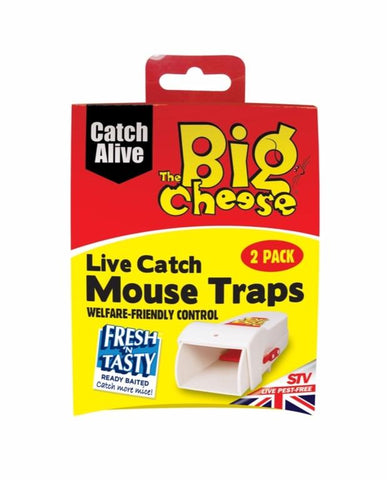 The Big Cheese-Live Catch RTU Mouse Trap - sidtelfers diy & timber