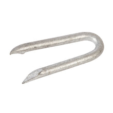 Fixman-Galvanised Staple 1/2kg