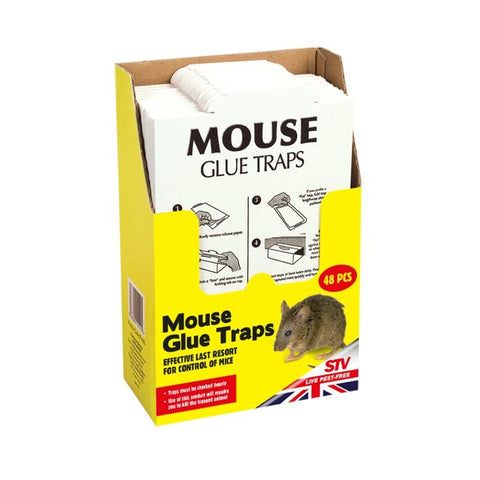 The Big Cheese-Mouse Glue Trap - sidtelfers diy & timber