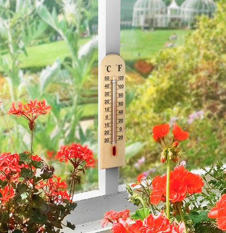 Ambassador-Wooden Thermometer